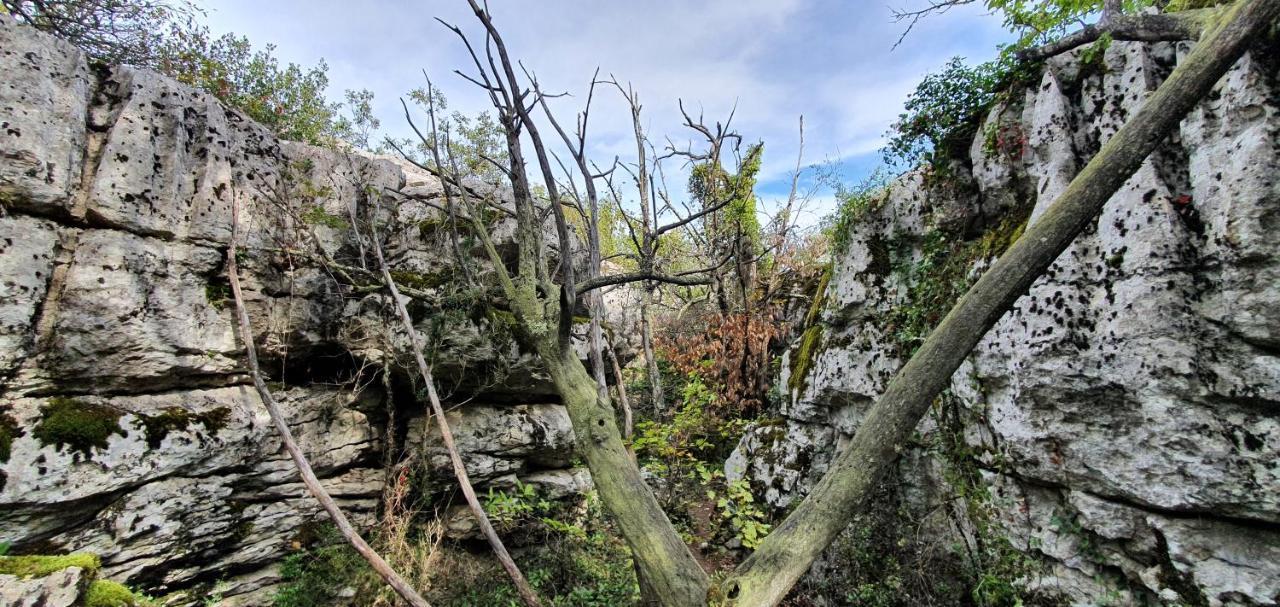 La Grange - Chez Gisi - Fuer Naturliebhaber, Abenteurer Und Geniesser Rocles  Екстериор снимка
